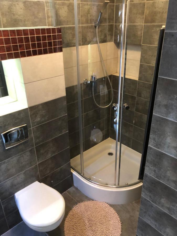 Żywiec Apartamenty Maria מראה חיצוני תמונה