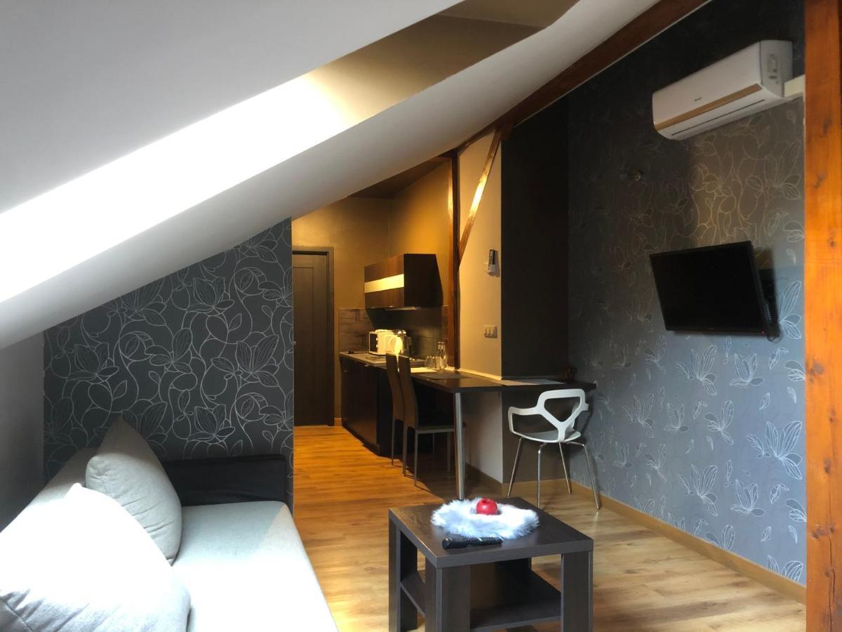Żywiec Apartamenty Maria מראה חיצוני תמונה