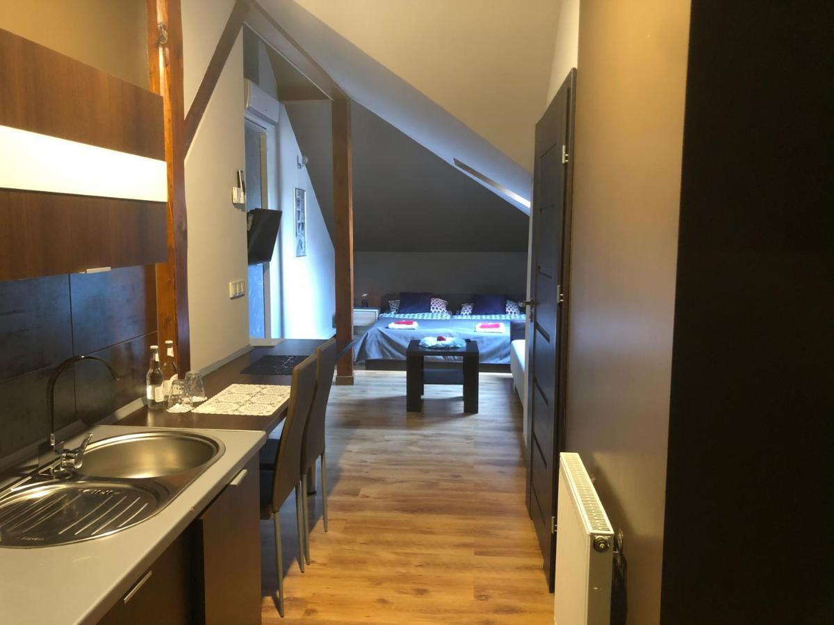 Żywiec Apartamenty Maria מראה חיצוני תמונה