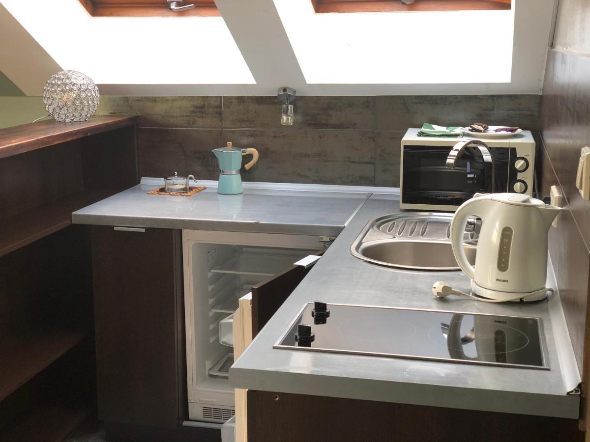 Żywiec Apartamenty Maria מראה חיצוני תמונה