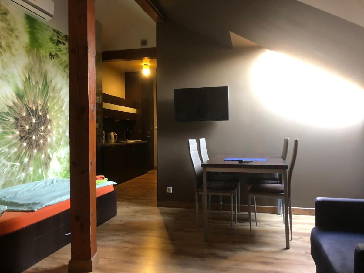 Żywiec Apartamenty Maria מראה חיצוני תמונה