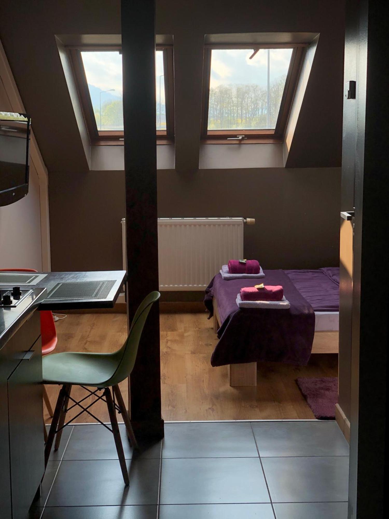 Żywiec Apartamenty Maria מראה חיצוני תמונה