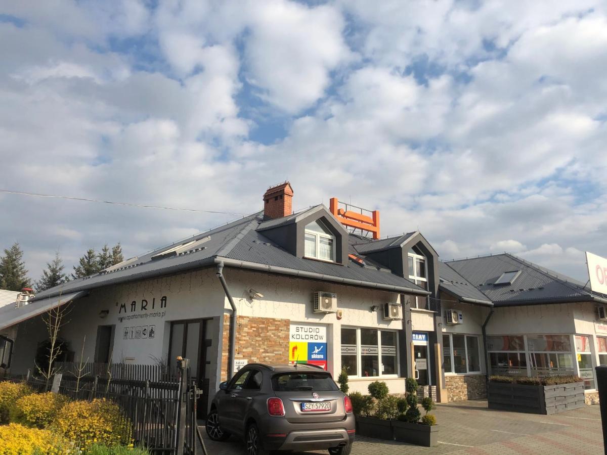 Żywiec Apartamenty Maria מראה חיצוני תמונה