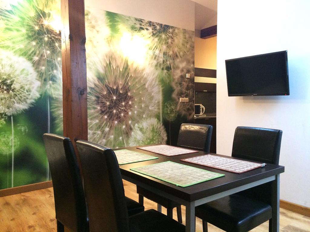 Żywiec Apartamenty Maria חדר תמונה