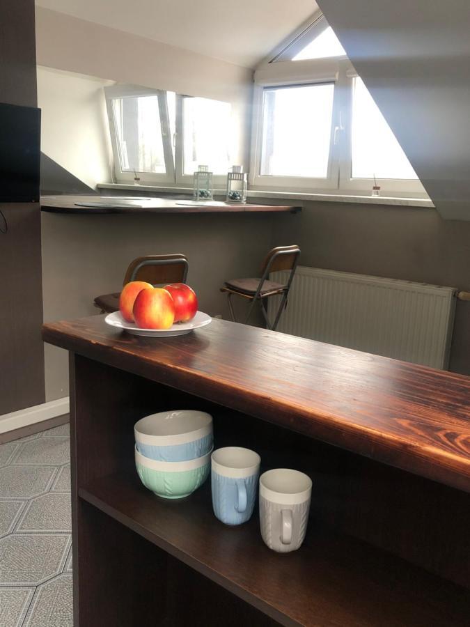 Żywiec Apartamenty Maria מראה חיצוני תמונה
