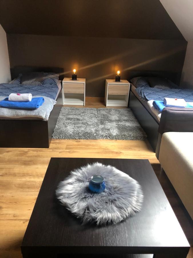 Żywiec Apartamenty Maria מראה חיצוני תמונה