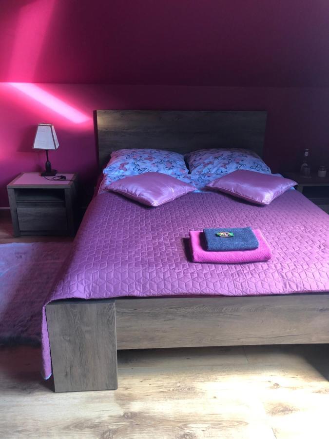 Żywiec Apartamenty Maria מראה חיצוני תמונה