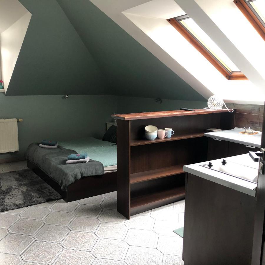 Żywiec Apartamenty Maria מראה חיצוני תמונה